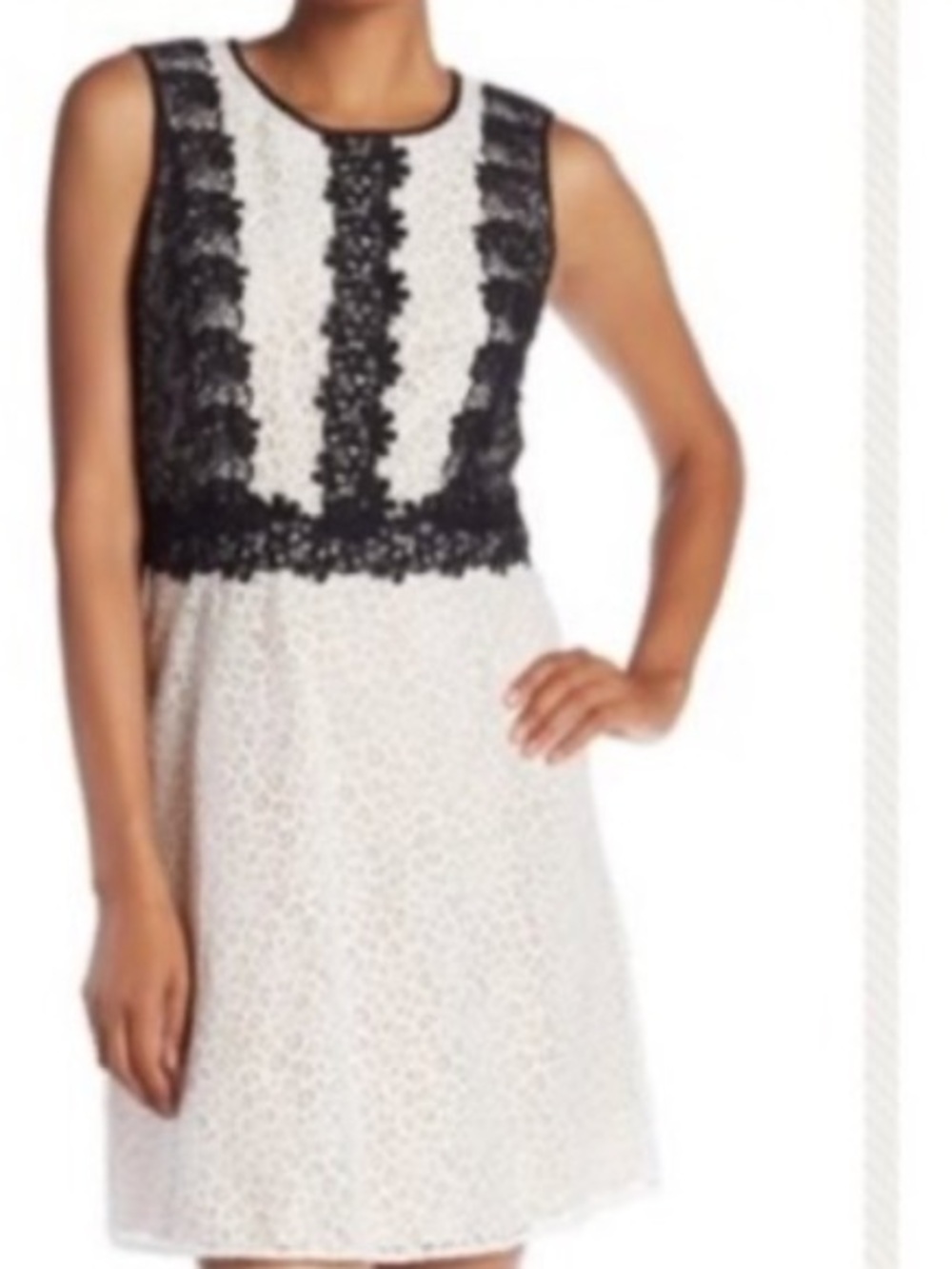 CeCe Cream/Black Lace Mini A-Line Dress